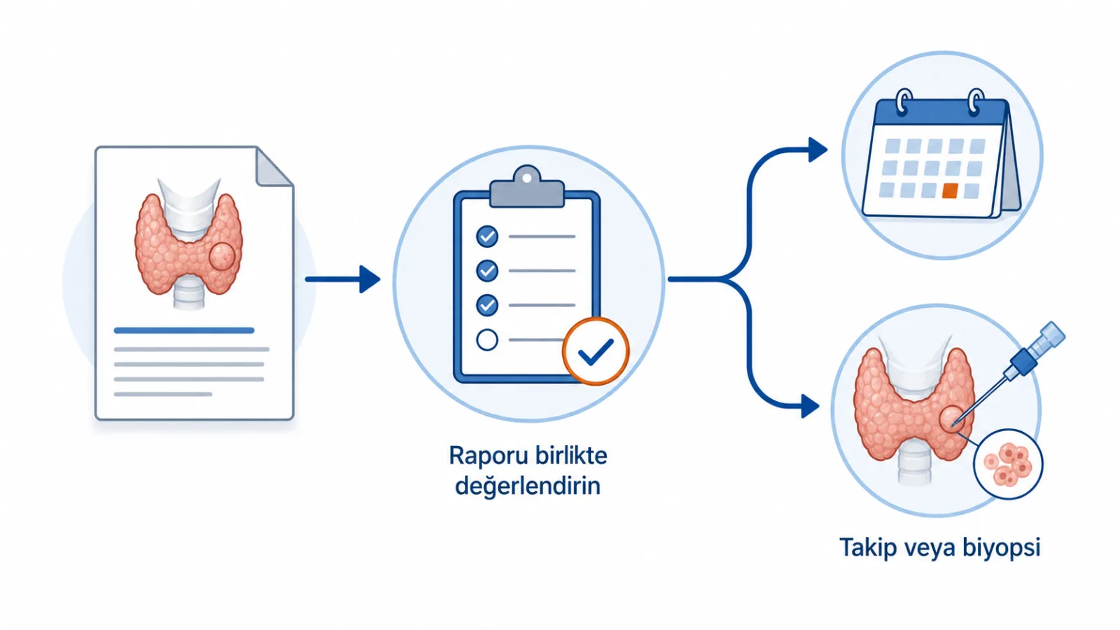 Ultrason raporu, klinik değerlendirme ve gerektiğinde takip veya ince iğne biyopsisi kararını gösteren karar akışı