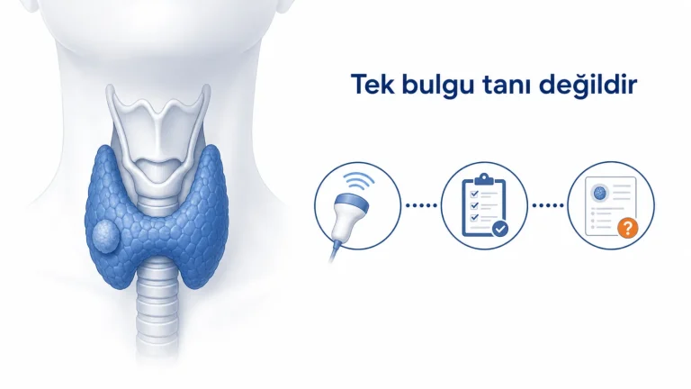 Tiroid bezindeki nodülün ultrason ve raporla birlikte değerlendirilmesini gösteren hasta dostu anatomik şema