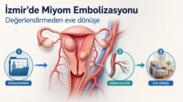 İzmir’de Miyom Embolizasyonu: Ulaşım, Süreç