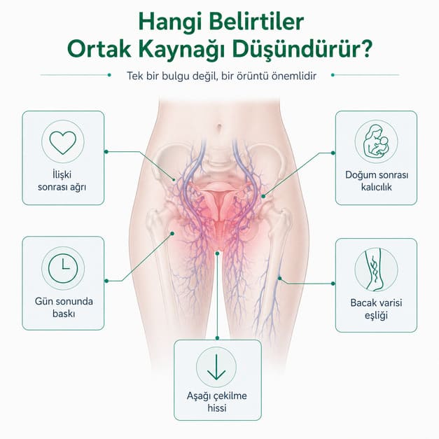 genital varis pelvik konjesyon kaynak