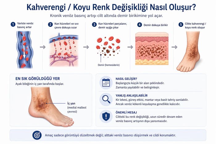 varis kahverengi koyu renk değişikliği
