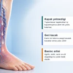 Venöz Reflü Nedir, Nasıl Tedavi Edilir? – Premium varis hero Venöz Reflü Nedir, Nasıl Tedavi Edilir? için varis tedavisinde sorunlu damarin ultrason rehberliginde iceriden kapatilmasini açıklayan premium medikal görsel